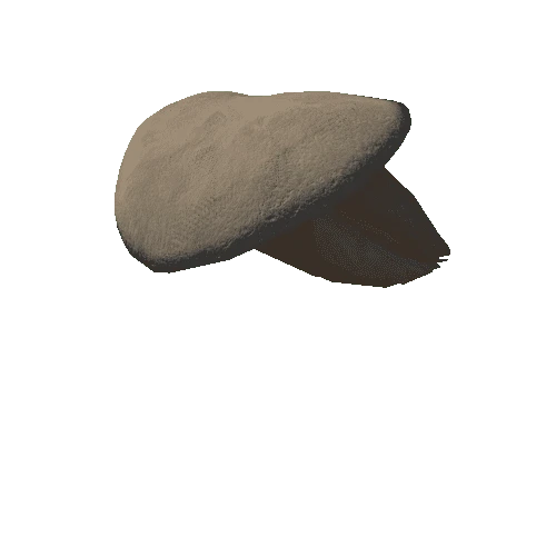 (2)Midl mushroom 10 (849 tris)